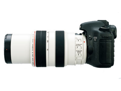 Canon EF 70-300mm F4-5.6L IS USM 胖白試用報告| DIGIPHOTO