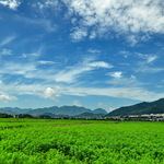 501f564262b02db14e43e6d05bb5d02e