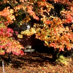 8b48f78af1936f8265d6b5333bd20763