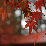 9215038c4c899a161ea9e9330e668bee