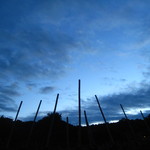 61da7ab46f1c8a14e6a316252b27172a