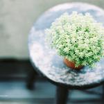 115f836d19336489277b03f84fa60ed1