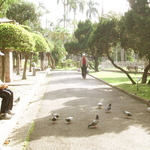 Fd48e292f23635788070a1c8099d5686