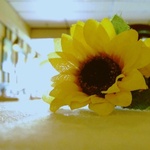 47b51d2df9c37841b9ba69beadb3c140