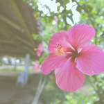 F947c91751a6f1cb2ce8ca26ba129bb0