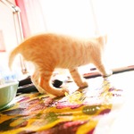 F2d6fab7c6998c1e7106278800837051