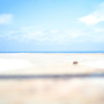 Fec905967da93f81b5e94a8d49d911e9