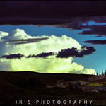 6902de96898c1894238ed02babfdc31e