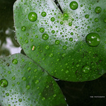 E7a0567259e0c4fdc788caff228615fa