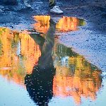 9b1c0806da085f50745c33c48df6c84a