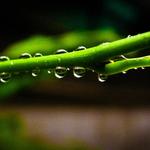 304e26065ecc6481e822aadb69cd1e6e