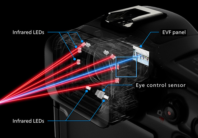 Canon EOS R1全能旗艦相機台灣正式開賣！建議售價NT$193,000