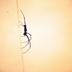 949aec595948838a34b83b7f3261fc4a