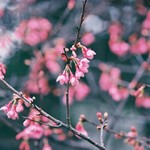 D20e8286d7eae5561a51fd7320b13623