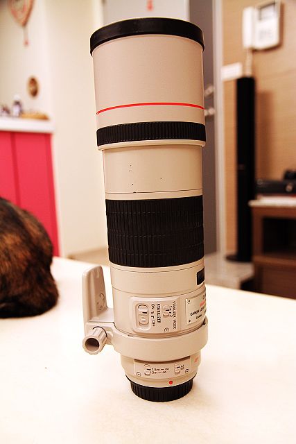 Canon EF 300mm F/4.0 L IS USM 使用心得分享| DIGIPHOTO