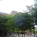D293fa7b5173fa43d54ababd6798eb7f
