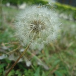 15a9e77d0d4d1aa93ed8d5709f113e35