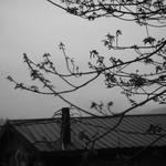 08f85563ec8d225e2a0ab66f8c0803be