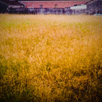 D6942a6d03042feed23cf30373f532a3
