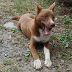 8f51109e625d30ff08023ced9890d394