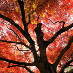 9240bf0d3ac979c109150ddf17646d96