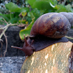 7f9e07cf72d08bf47eef6a6a9132f913