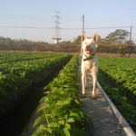 E22b72356cf7f4956b7b9e8c1e8d8051