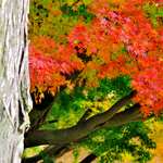 0e8cad49142860974c3448663ee58c67