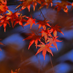 2df5aa91f776a42fd3cd48419ac457c7