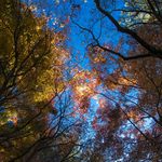 03130407a2a787d5248cf8c28284cbf8