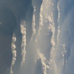 D924205f9956ea310b742cdd94e1784c