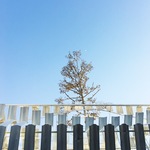 C517ea00139501c0f0e28900256321c2