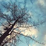 396488a18bd2f8f2ba28cb7e3d12c92d