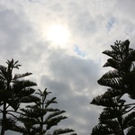 7d8d4b0c1307b4aa21aaf33e7271a37a