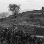 A95dca4f8eafe0e5e24f7eeca300fe88