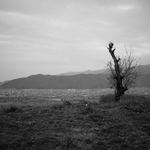 Ddd1ed052cf88afcda4e3051d36c15fe