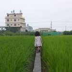 2eca22b48574ab45b4be8ecc5301b82a