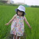 762ba022f381755fbe10bc2fd2f95e33