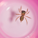 6917663d542111cd942c7be108ed3140