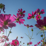 28b20782e2c3340bf1d59153f4b1669b