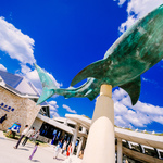 0a7b046d346765c3b5281b766b2871c1