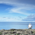 9e6b2ff77c2bb850469e425bf34d59f7