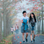 7a8fe09042ac189f2c4f5d938f949343