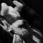 57872b431dc8b4d26ffb556e9c33c0ea