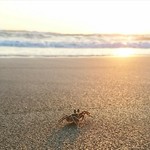 64f5a363ca9eb4c86a3a276c68399286