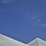 5007eee8cd3c5f6e8e634a821aad3dbf