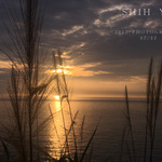 1a9221c48ee8eae118705e426f8cf130