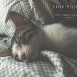 340d5a68cd53e6a56942466aad406c33