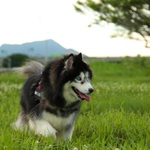 18ebb15996fe81a3d037653e3b59ac43