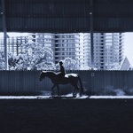 A4d9a39fd7ab2ca5b3cfa1561862c281